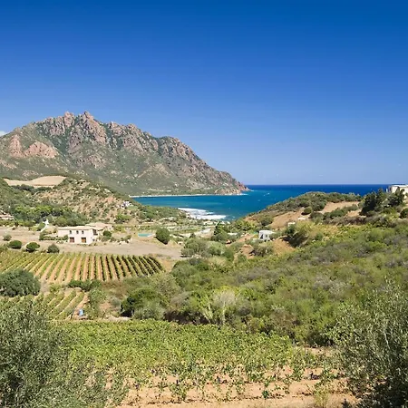 Virgilio's House Апартаменты